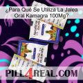 ¿Para Qué Se Utiliza La Jalea Oral Kamagra 100Mg 12